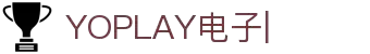 YOPLAY电子·(中国区)官方网站